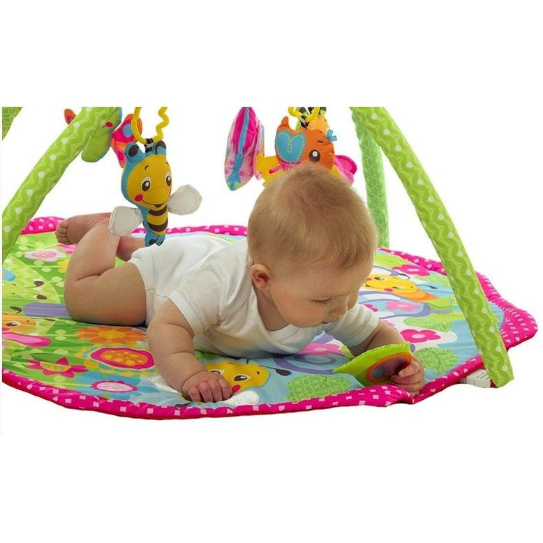 Playgro Bugs N Bloom Activity Gym