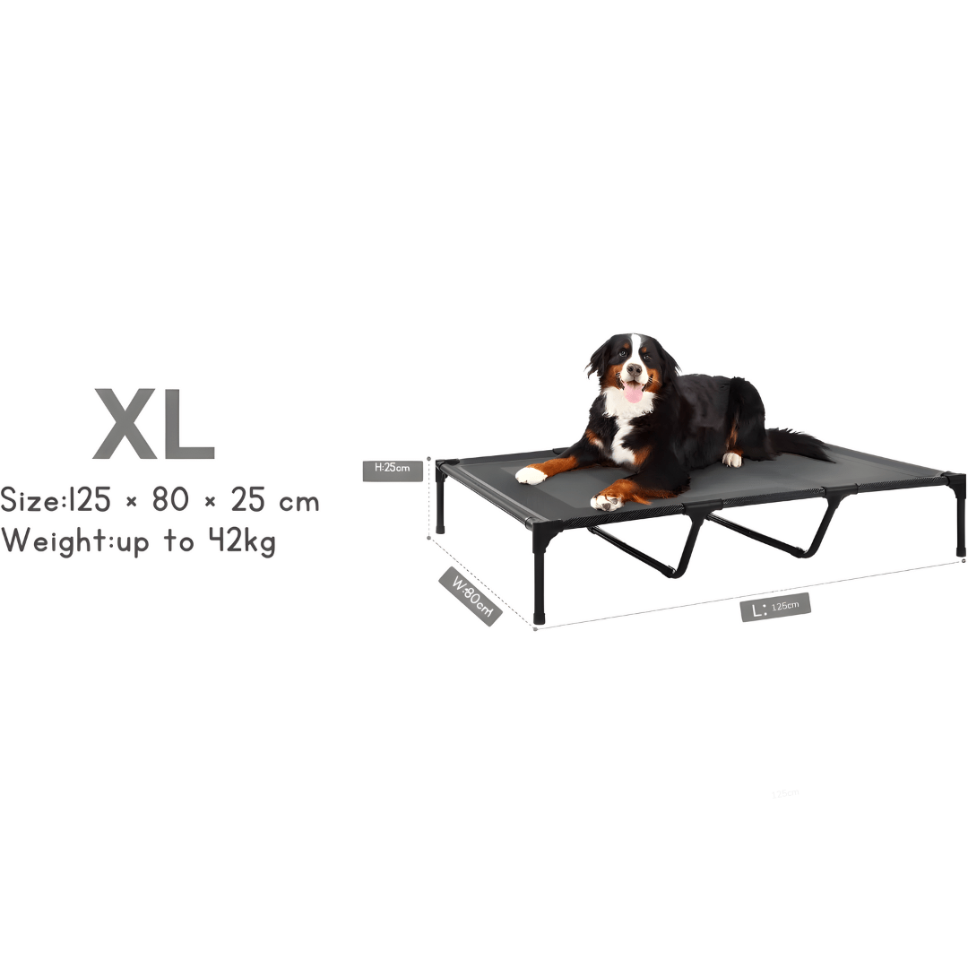Elevated Dog Bed 125×80cm (Teslin Mesh)