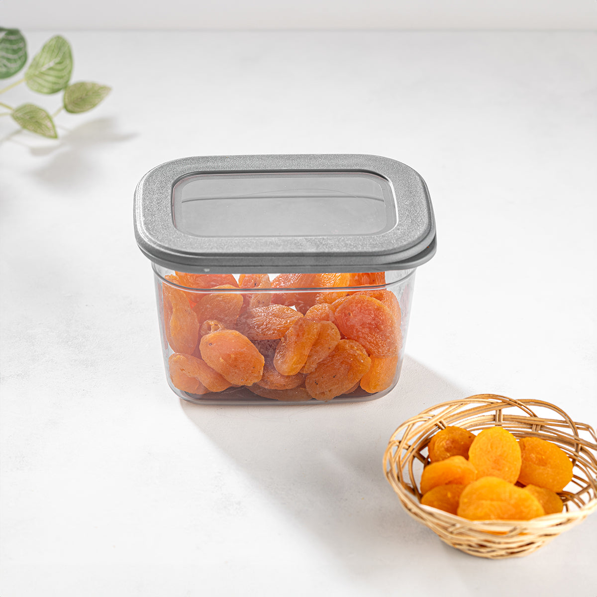 800 ml Poli Food Storage Box with Silicon Rim Cover