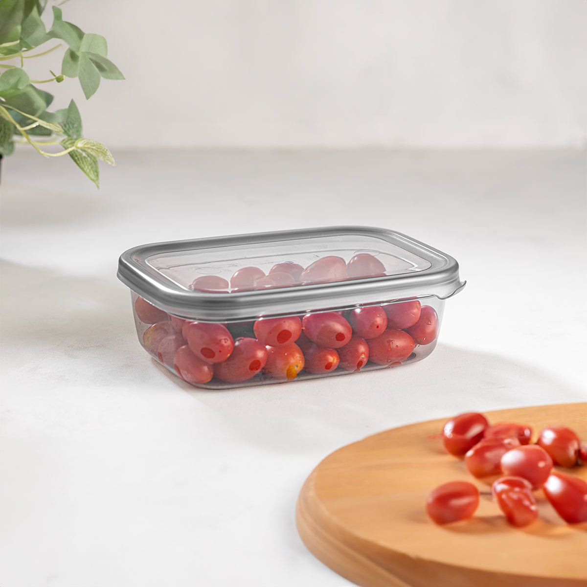 670 ml Peggy Food Storage Box