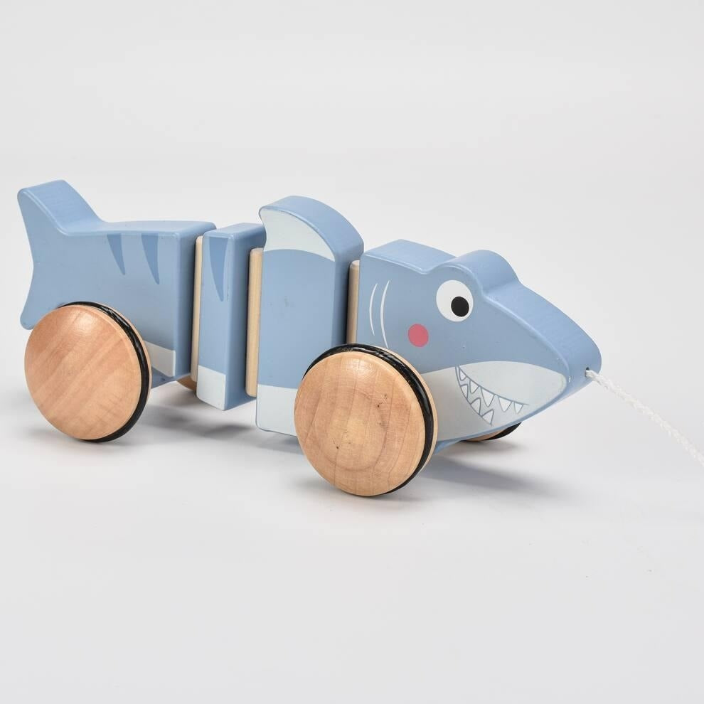 Little Dutch Pull Along Shark