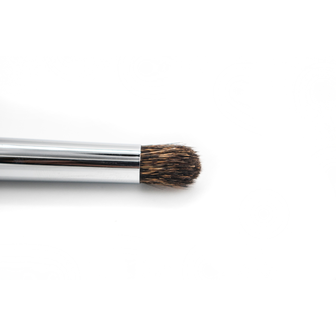 Pretty Lady Above The Eyeindividual Cosmetic Brush
