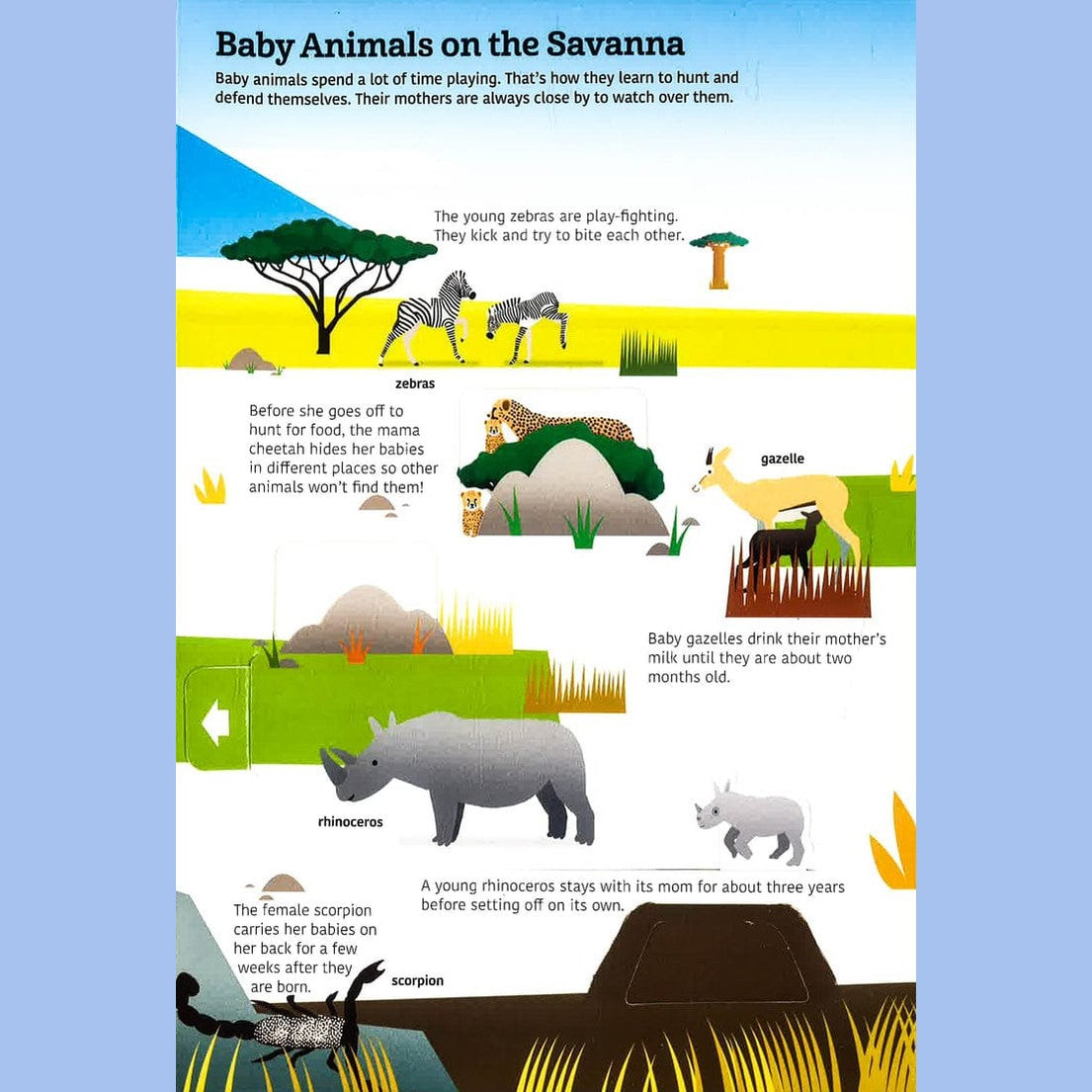 Tumama Kids - Ultimate Spotlight : Savanna Animals Book
