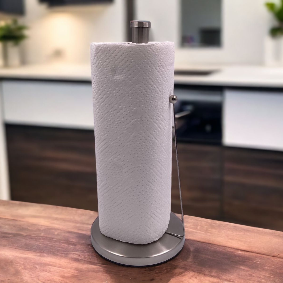 SS Kitchen Paper Towel Holder with Clamp