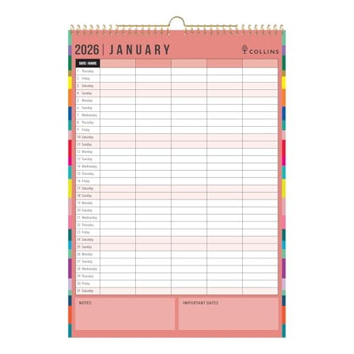 Collins - Edge Rainbow - Monthly Wall Calendar 2026 (EDFC135-26) - Medaid International