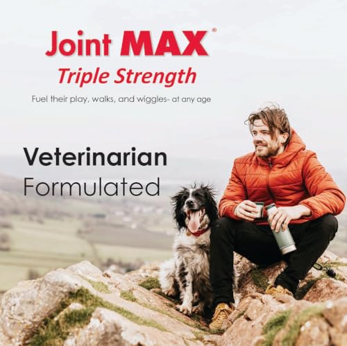 Joint MAX TS Joint Supplement Vet Formulated Pain & Inflammation Relief Treats Hip Dysplasia & Arthritis.Glucosamine, Chondroitin, Turmeric, MSM, HA, Creatine, Omega 3 EPA+DHA. All Dogs 240 Soft Chews