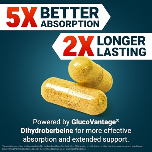 FORCE FACTOR Ultra Berberine Enhanced Absorption, with Ceylon Cinnamon, Dihydroberberine & Chromium, 5X Absorption, 2X Longer Lasting, Promote Lean Body Mass, 60 Vegetable Capsules - Medaid International