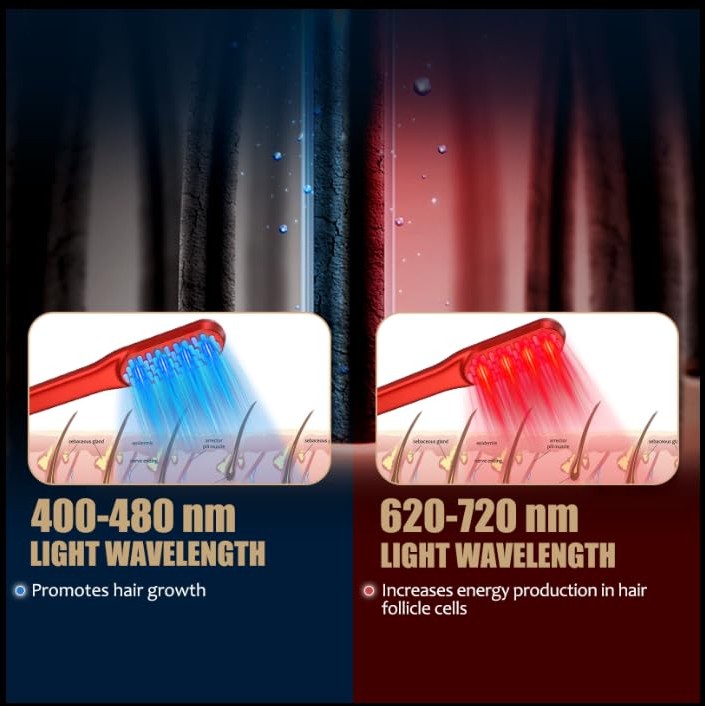 Laser Hair Growth Comb,Red Light Hair Growth Treatment for Men & Women(Red 1pcs ) - Medaid International