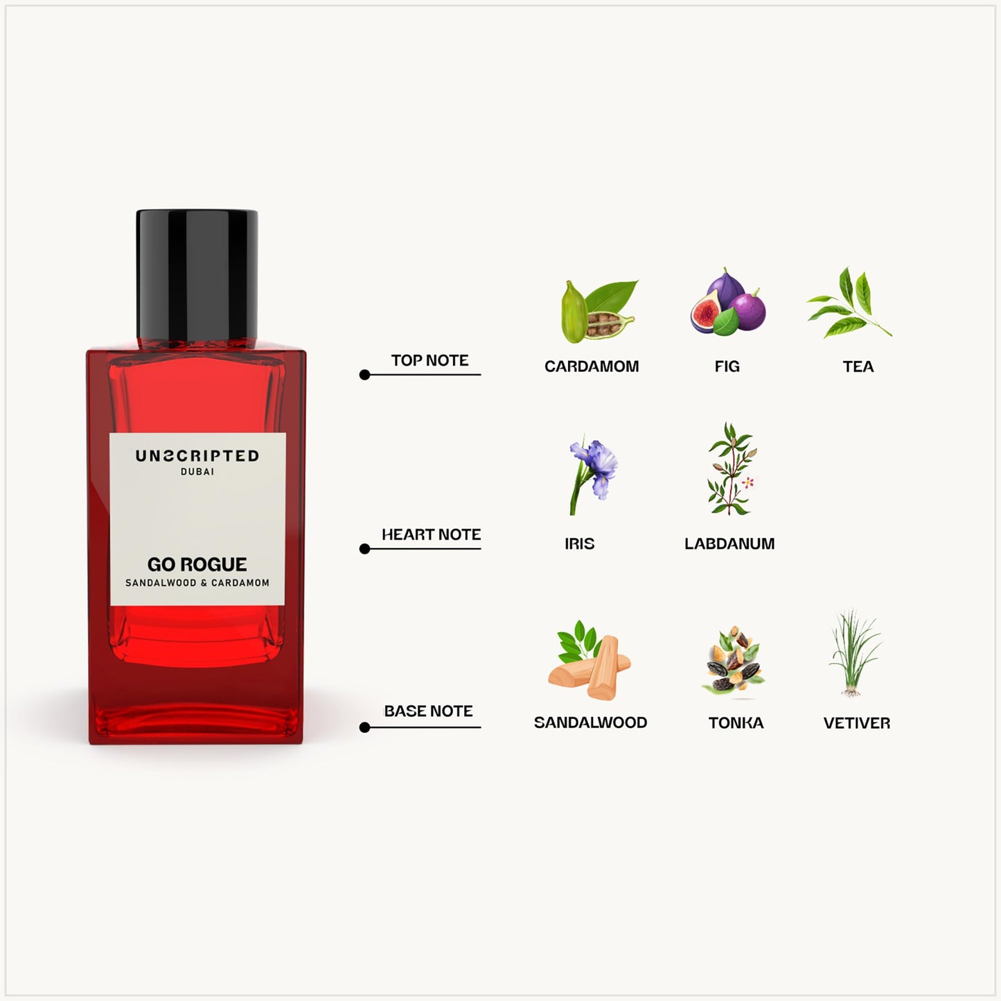 Unscripted. Go Rogue - Bold and Unique Perfume for Men - Long-Lasting Men Perfume with Cardamom, Sandalwood and Vetiver for Free Spirits - 3.4 oz - Medaid International