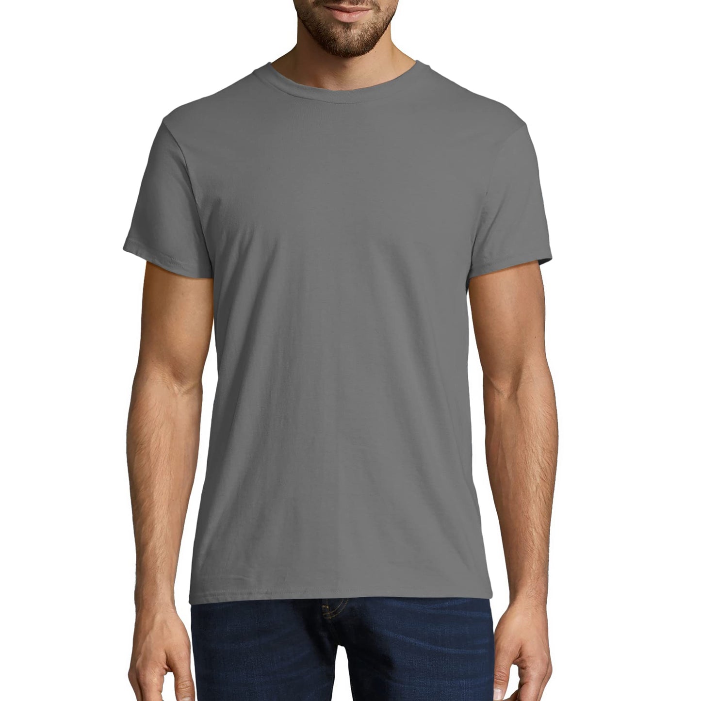 Hanes Men's Nano Premium Cotton T-Shirt (Pack of 2), Smoke Gray, Large - Medaid International