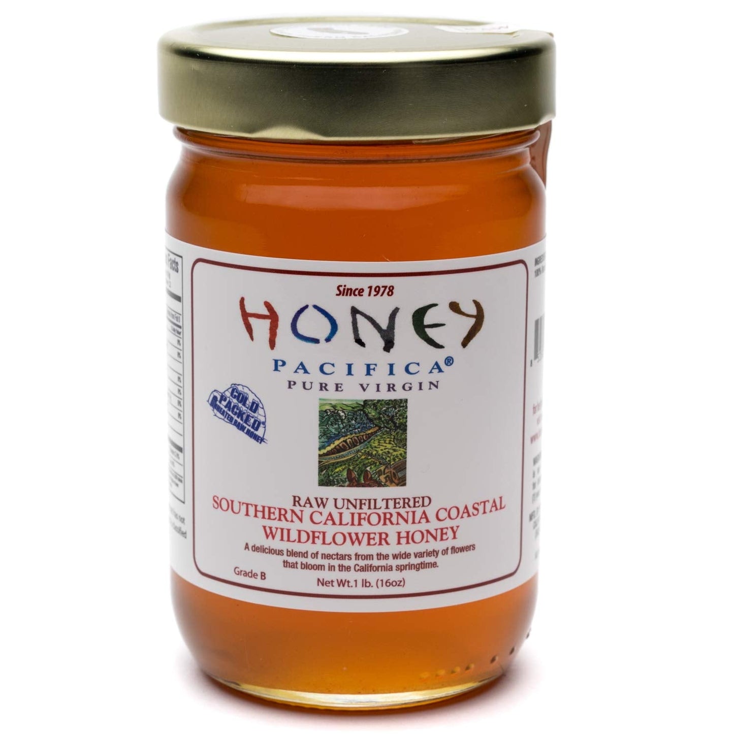 Raw Coastal Wildflower Honey - Unprocessed & Unheated Honey - 16 oz Glass Jar by Honey Pacifica - Medaid International