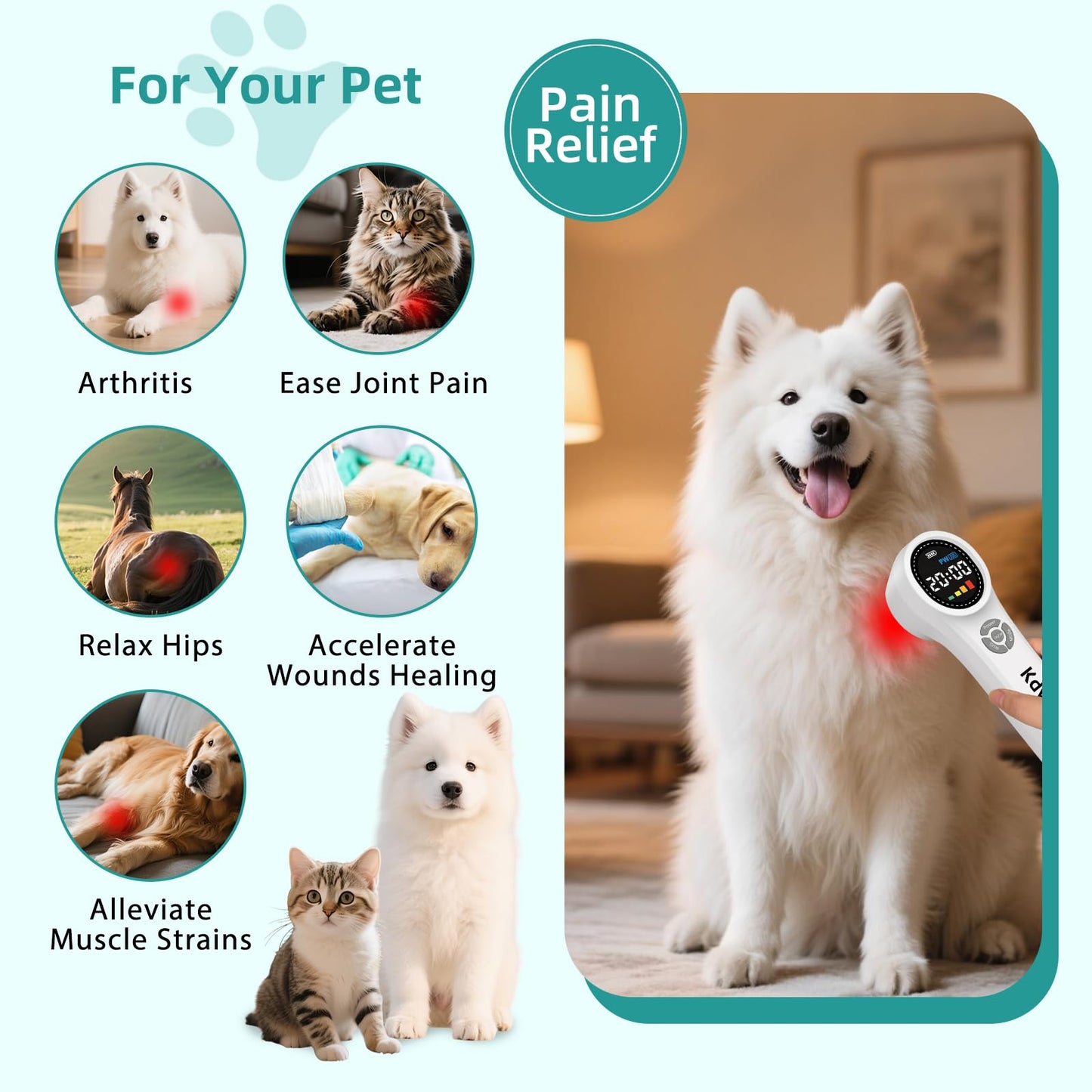Kdvioo Cold Laser Therapy Device for Dogs, 16pcs 660nm & 4pcs 810nm & 4pcs 980nm Infrared Red Light Therapy Machine for Pain Relief, Arthritis, Spinal, Promote Blood Circulation, for Pets - Medaid International
