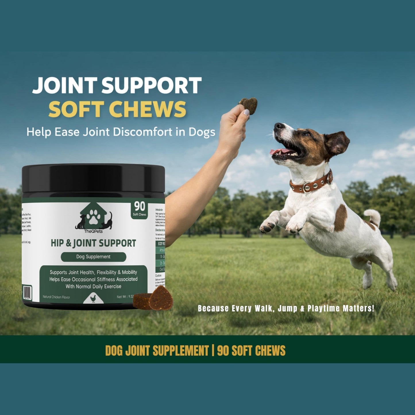 TheQPets Hip & Joint Support for Dogs, 90 Soft Chews – Glucosamine, MSM, Chondroitin, Turmeric, Green‑Lipped Mussel & Collagen – Supports Joint Health, Flexibility & Mobility – Chicken Flavor