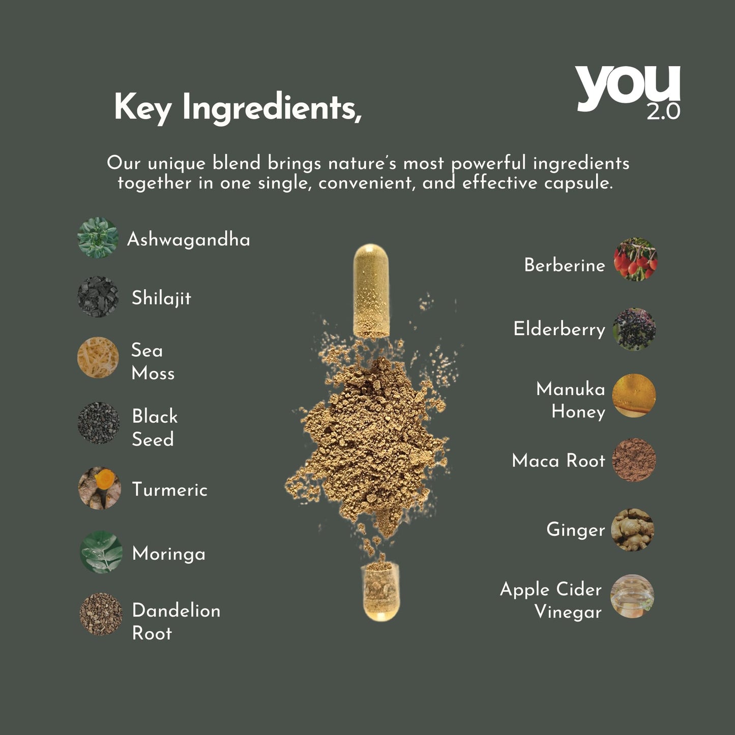 YOU 2.0 Powerhouse Superfood with Seamoss, Shilajit, Ashwagandha, Berberine, Maca, Black Seed Oil, Turmeric, Vitamin C, D, B12, K2 - Moringa, Apple Cider, Made in USA for Overall Health & Immunity - Medaid International