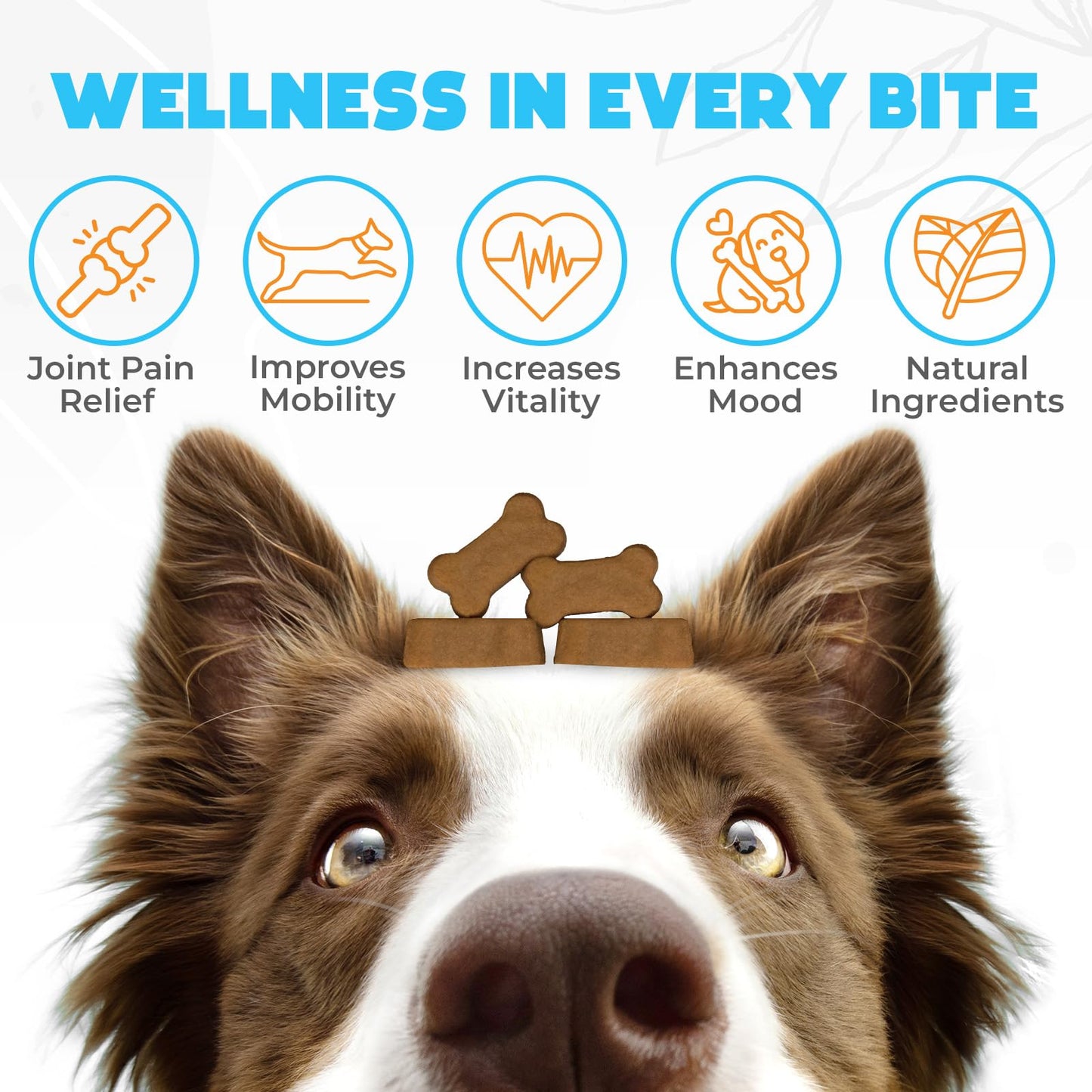 OKKÖBI Glucosamine HCL & Hip and Joint Chews for Dogs - 150 pcs - Advanced Hip and Joint Support for Senior Dogs - with MSM & Green Lipped Mussel - Chicken
