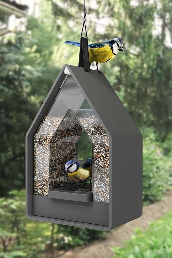 Emsa Bird Feeding House – 516413 – Grey
