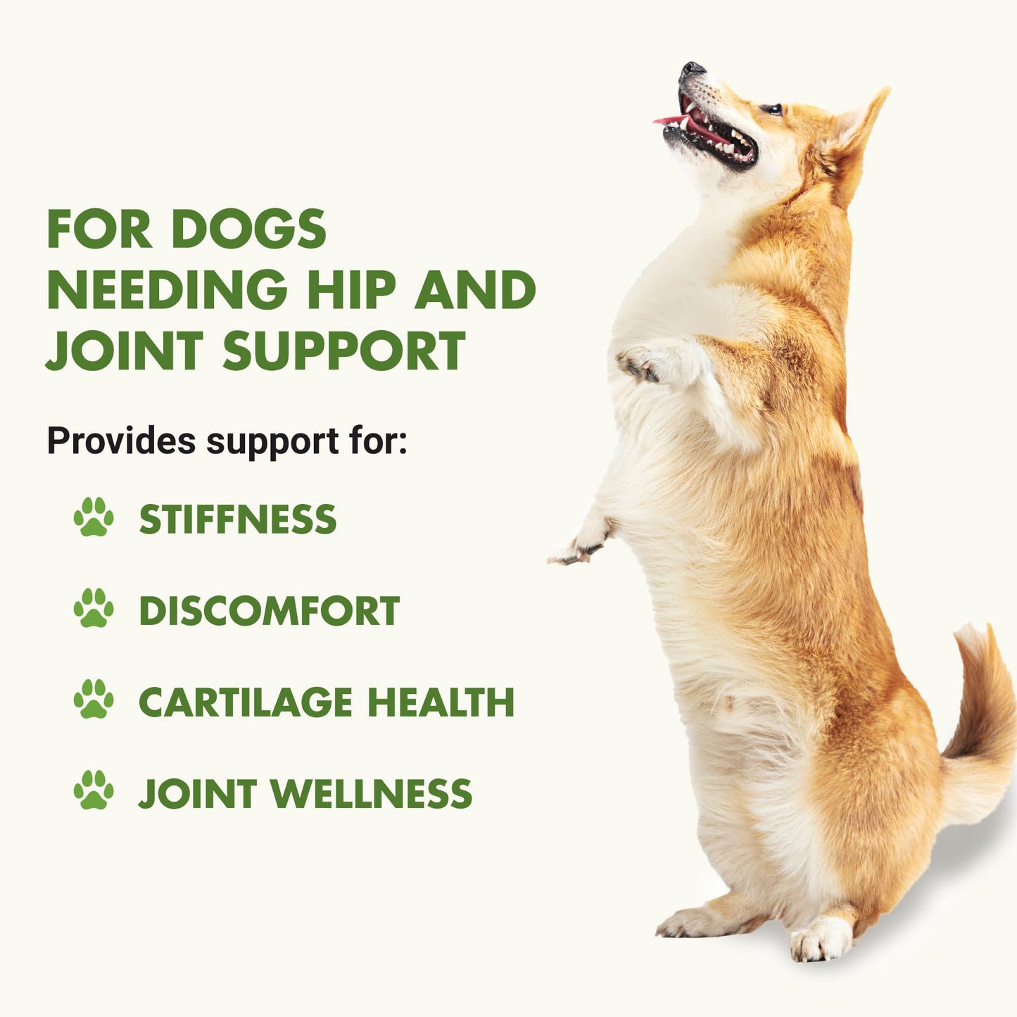 K9 Hip & Joint Formula, Bacon Flavor, 16oz