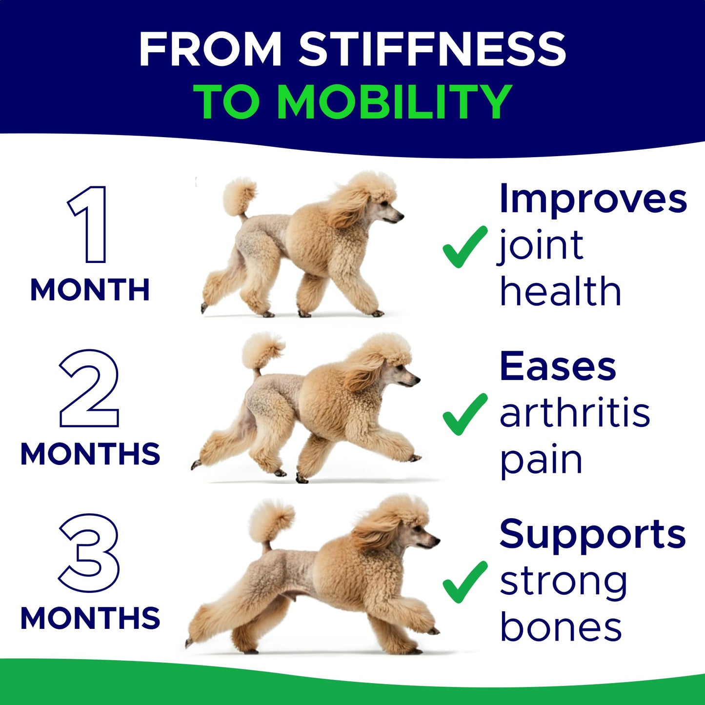 Mobility Glucosamine Dog Treats - Advanced Hip & Joint Supplement with Omega-3, Chondroitin & MSM; Made in USA; Joint Pain Relief