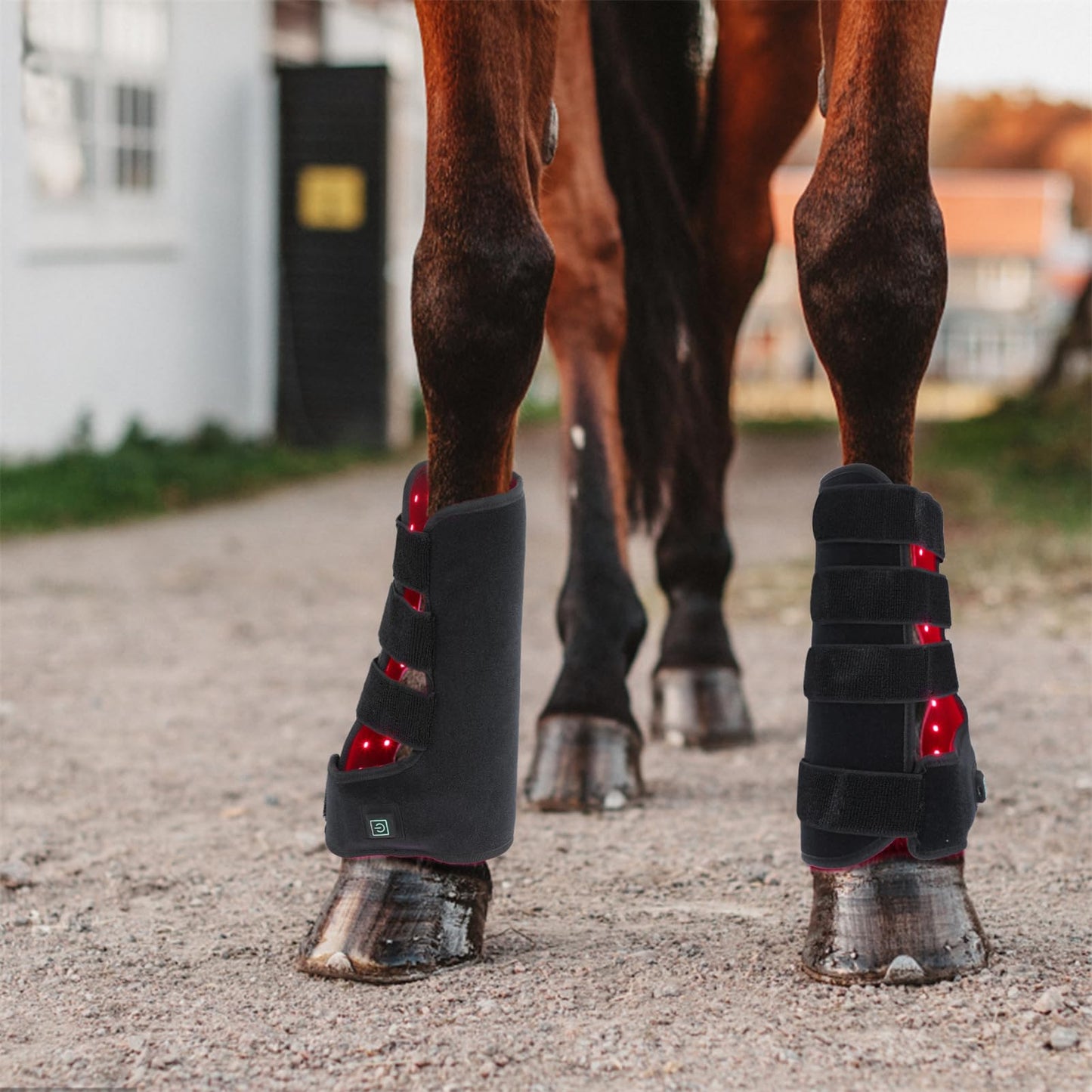 FSDLJSP Red Light Therapy for Horse Leg Stifle Pain, 850nm& 660nm Infrared Light Therapy Horses Boot, for Equine Muscle Recovery - Medaid International