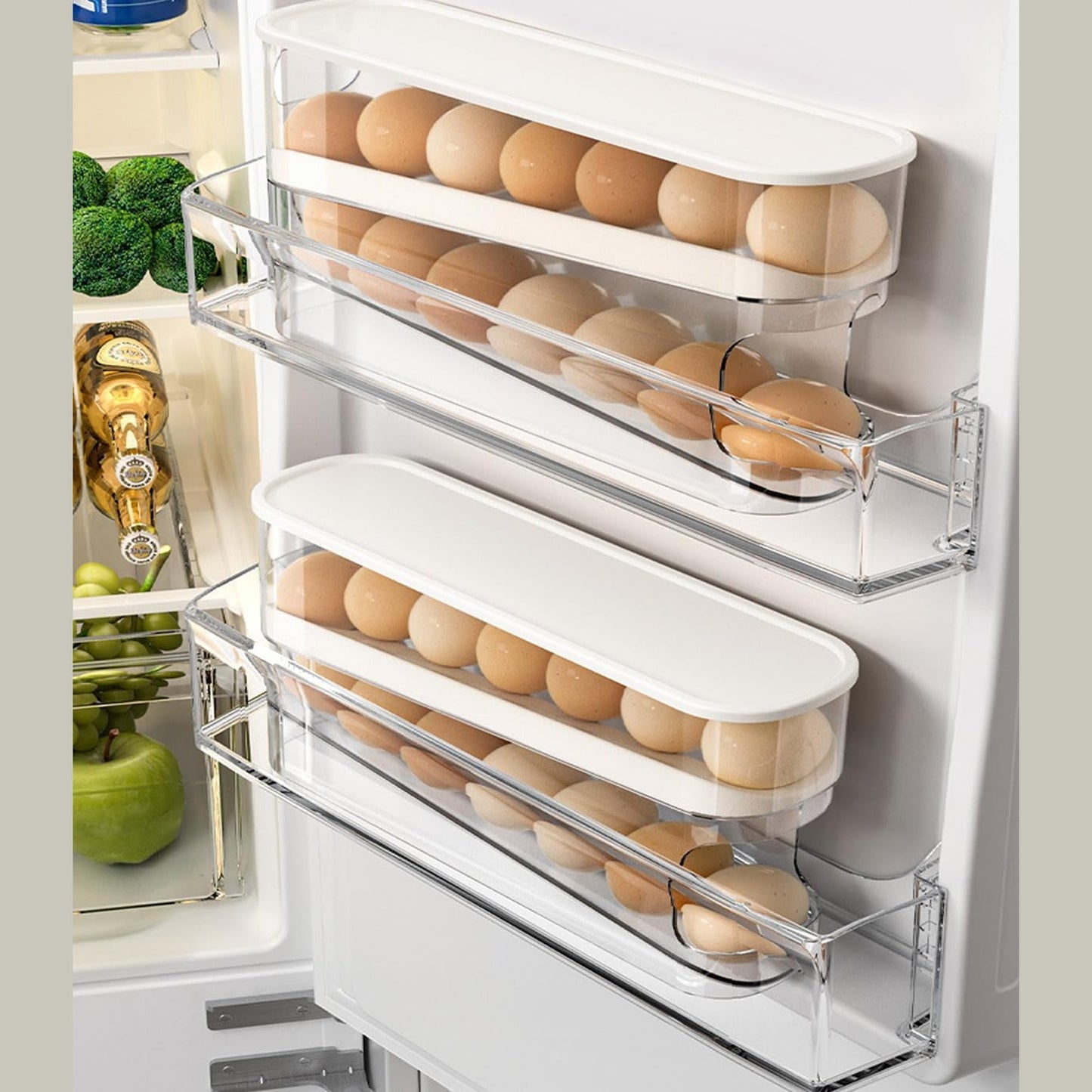 Egg Holder for Refrigerator
