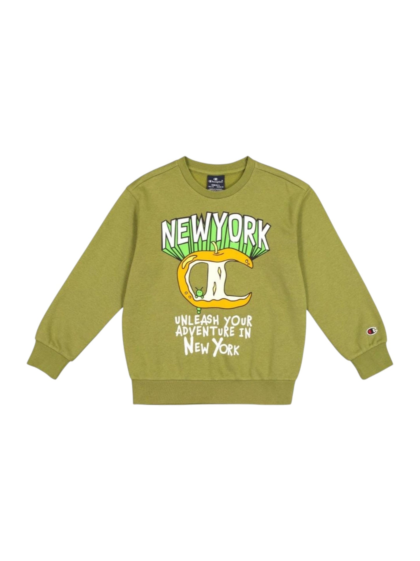 Kids Boy's Printed Sweaters,Oive