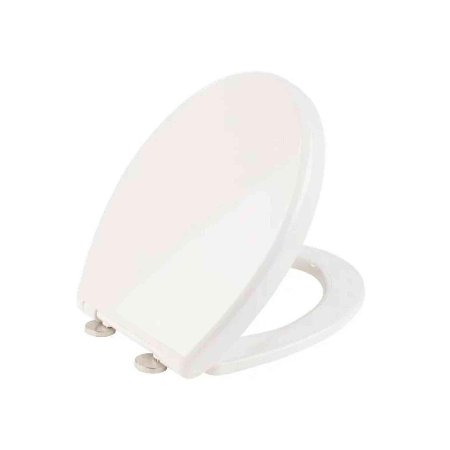 Thermoplastic Toilet Seat