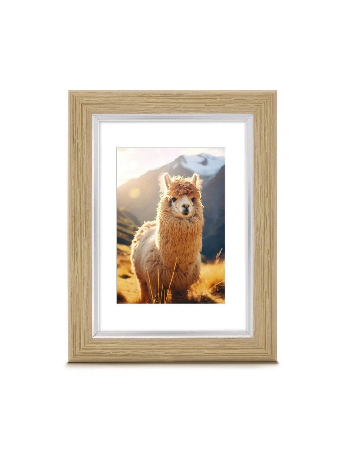 Plastic Frame Lima Oak