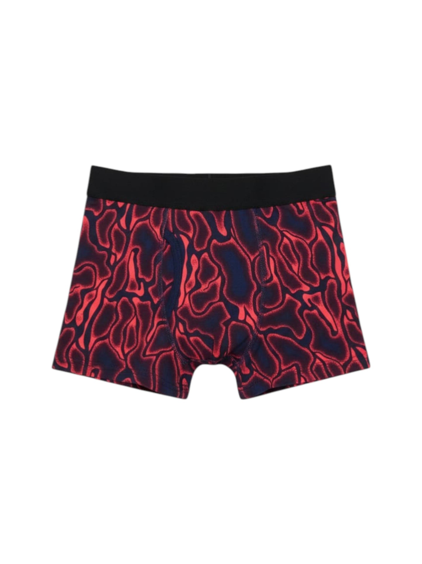 Kids Boy's Printed Boxer,Multi