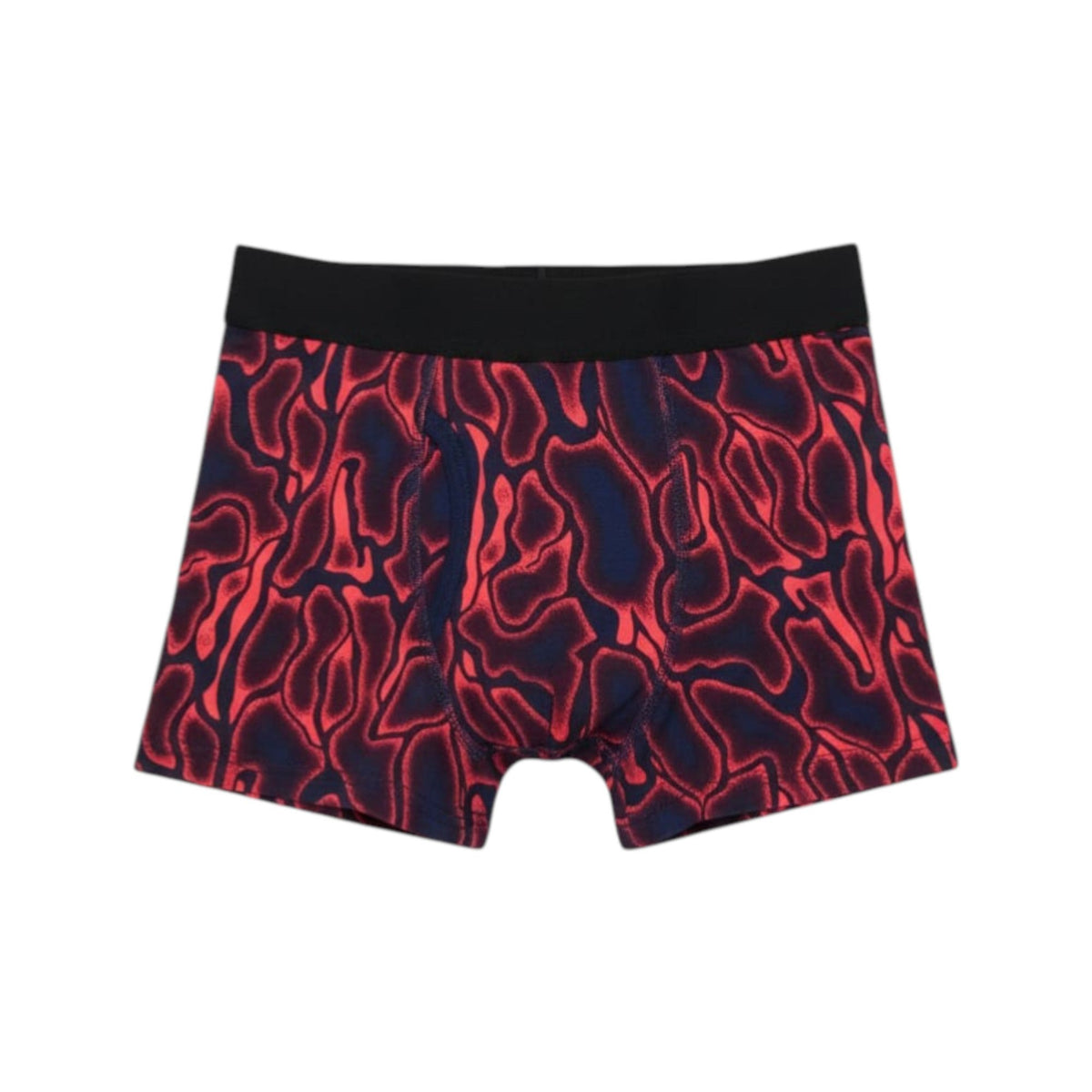 Kids Boy's Printed Boxer,Multi