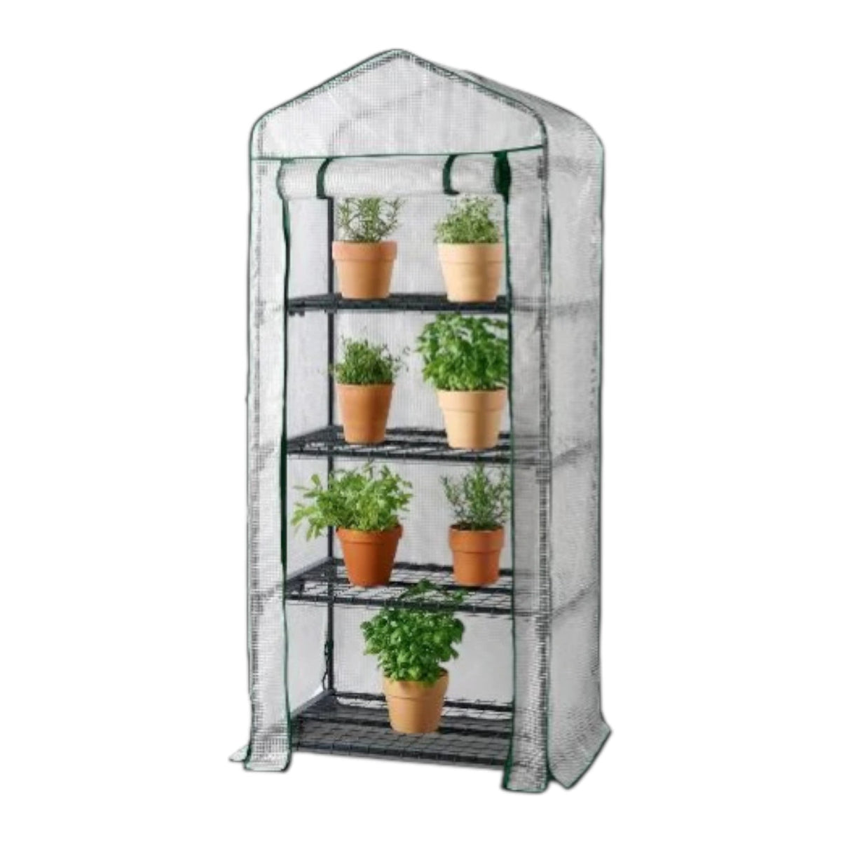 Greenhouse