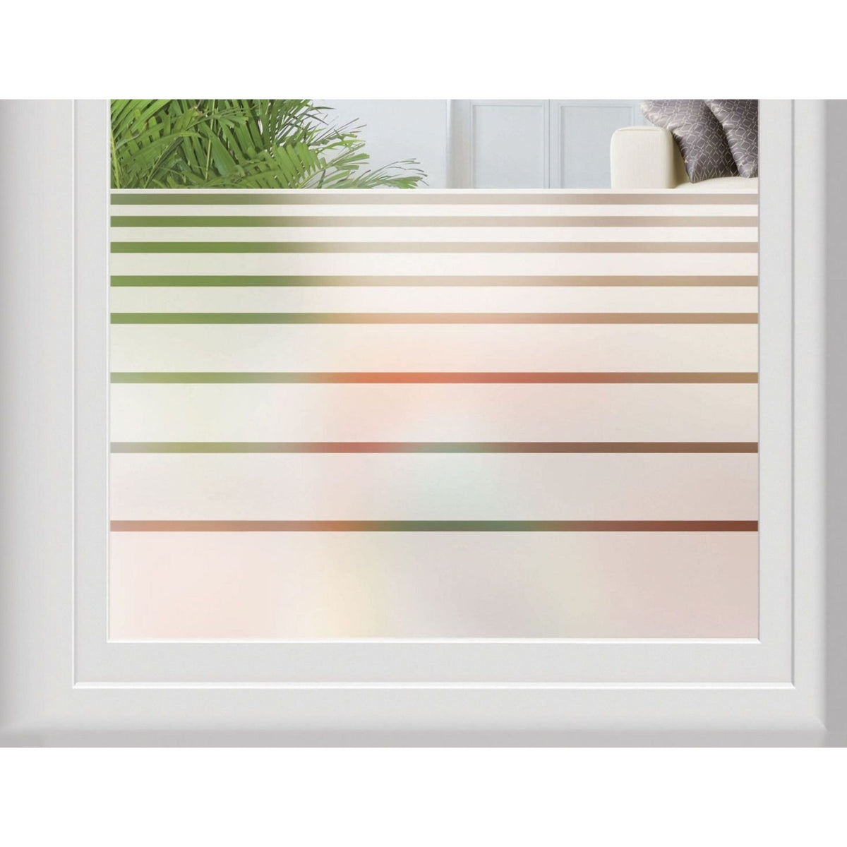 Window Film