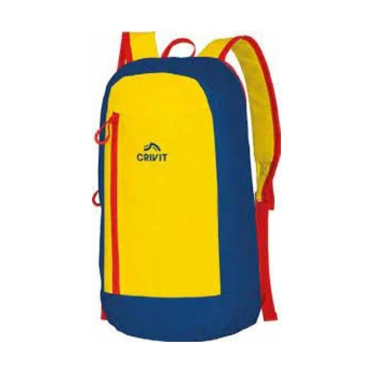 Mini Backpack