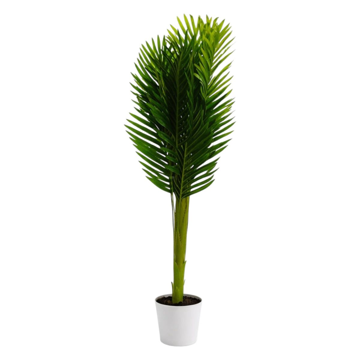 Artificial Palm Plant