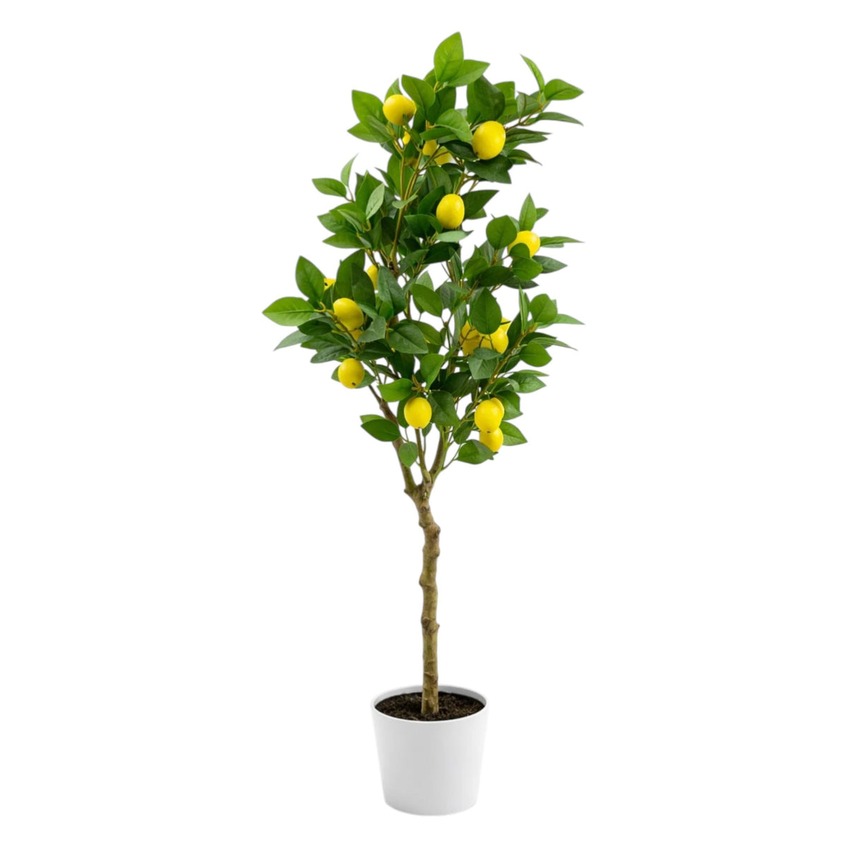 Artificial Lemon Tree
