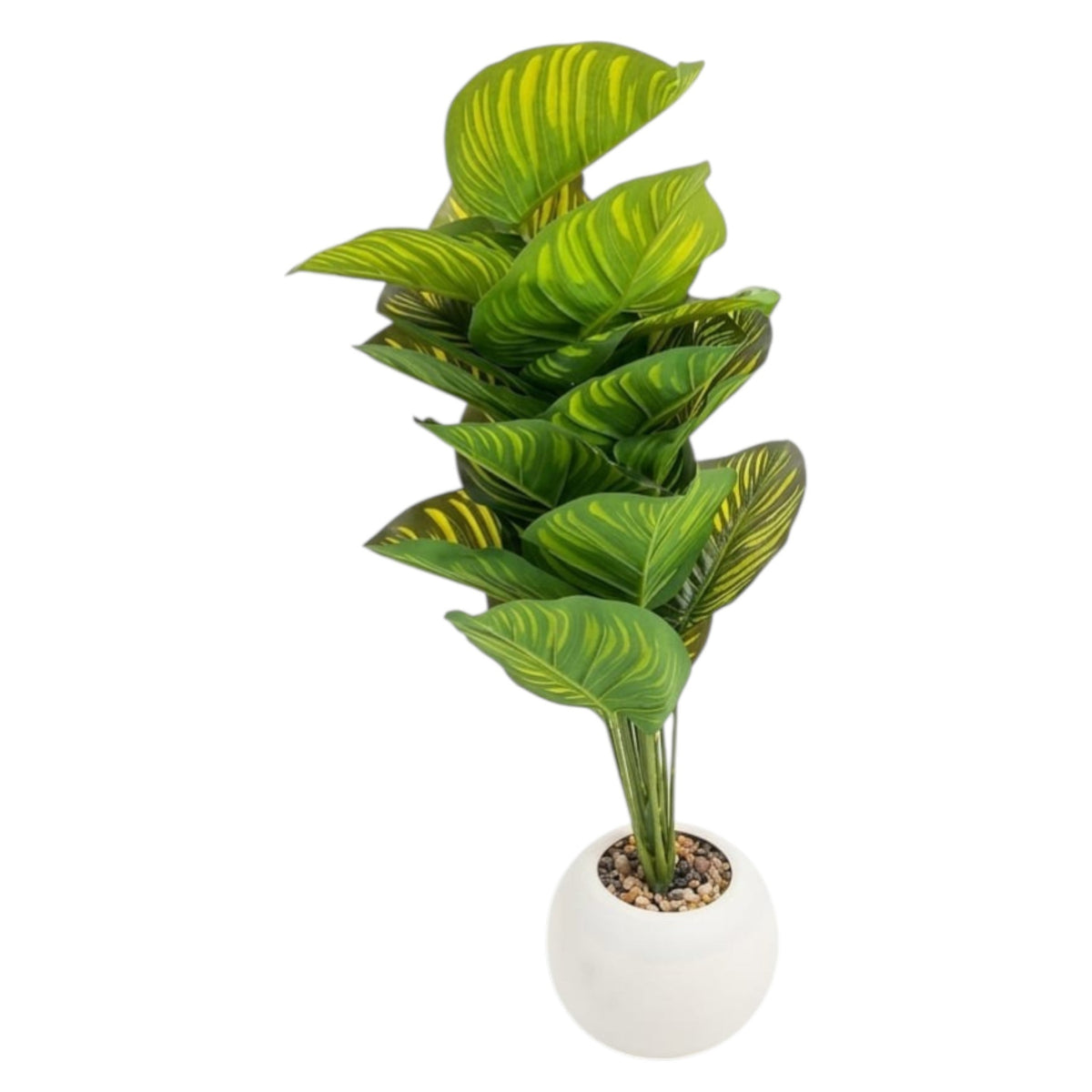 Artificial Calathea Orbifolia