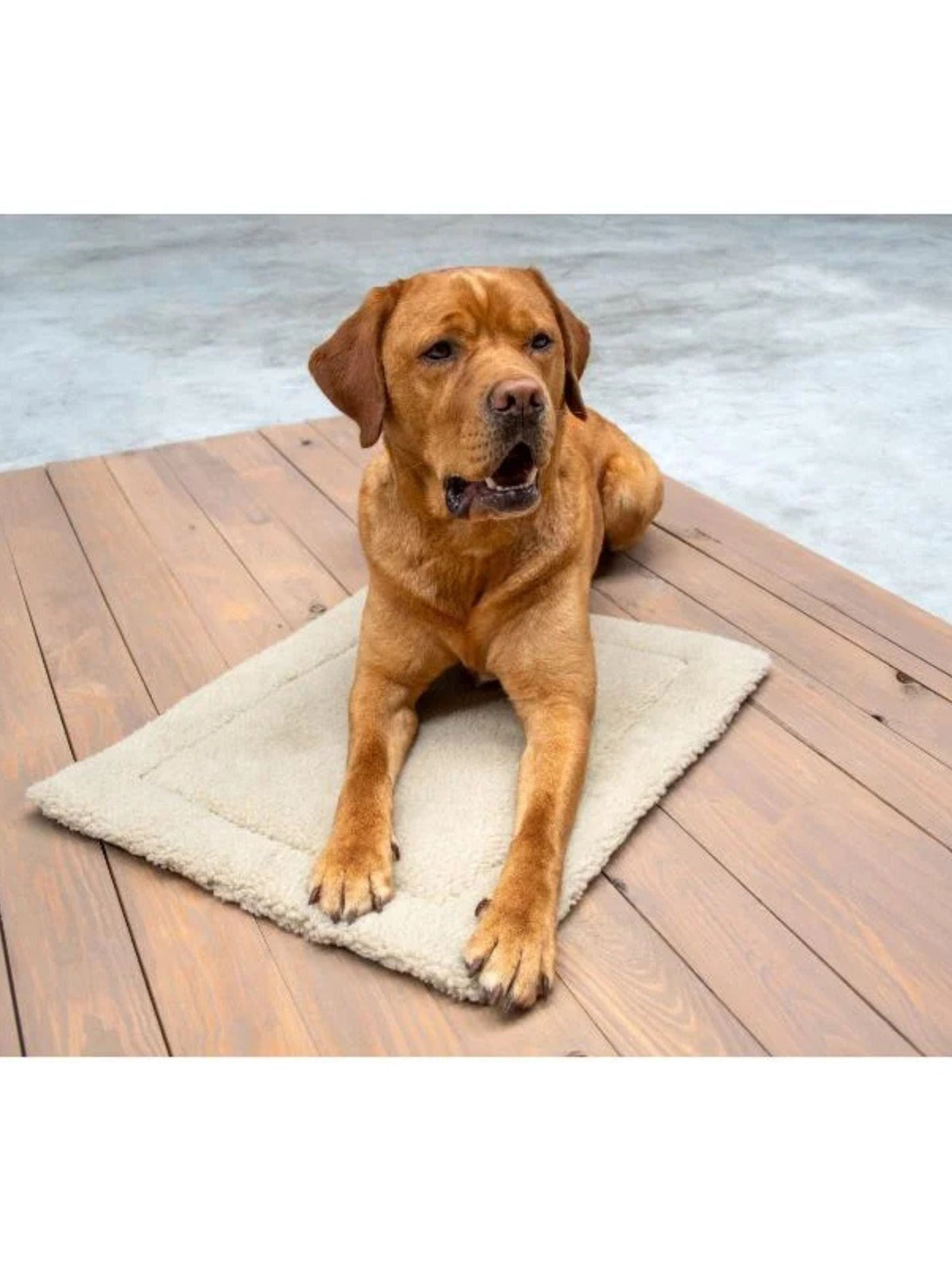 Pet Mat
