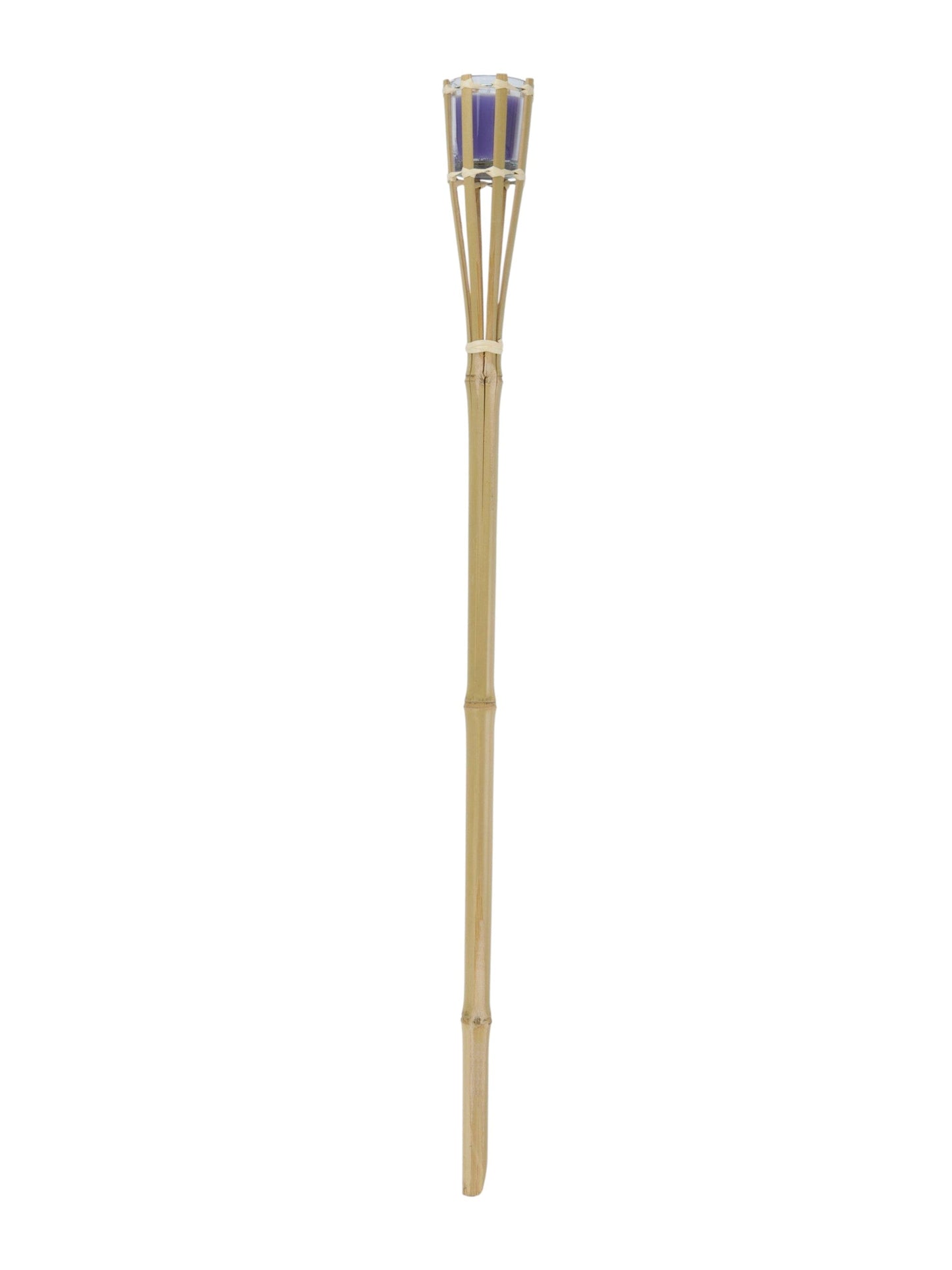 Garden Torch With Citronella
