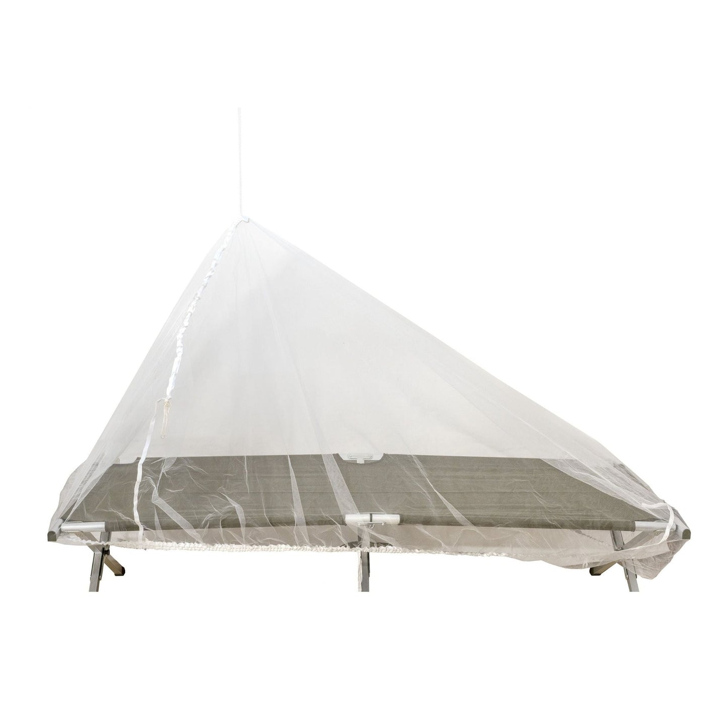 Insect Net
