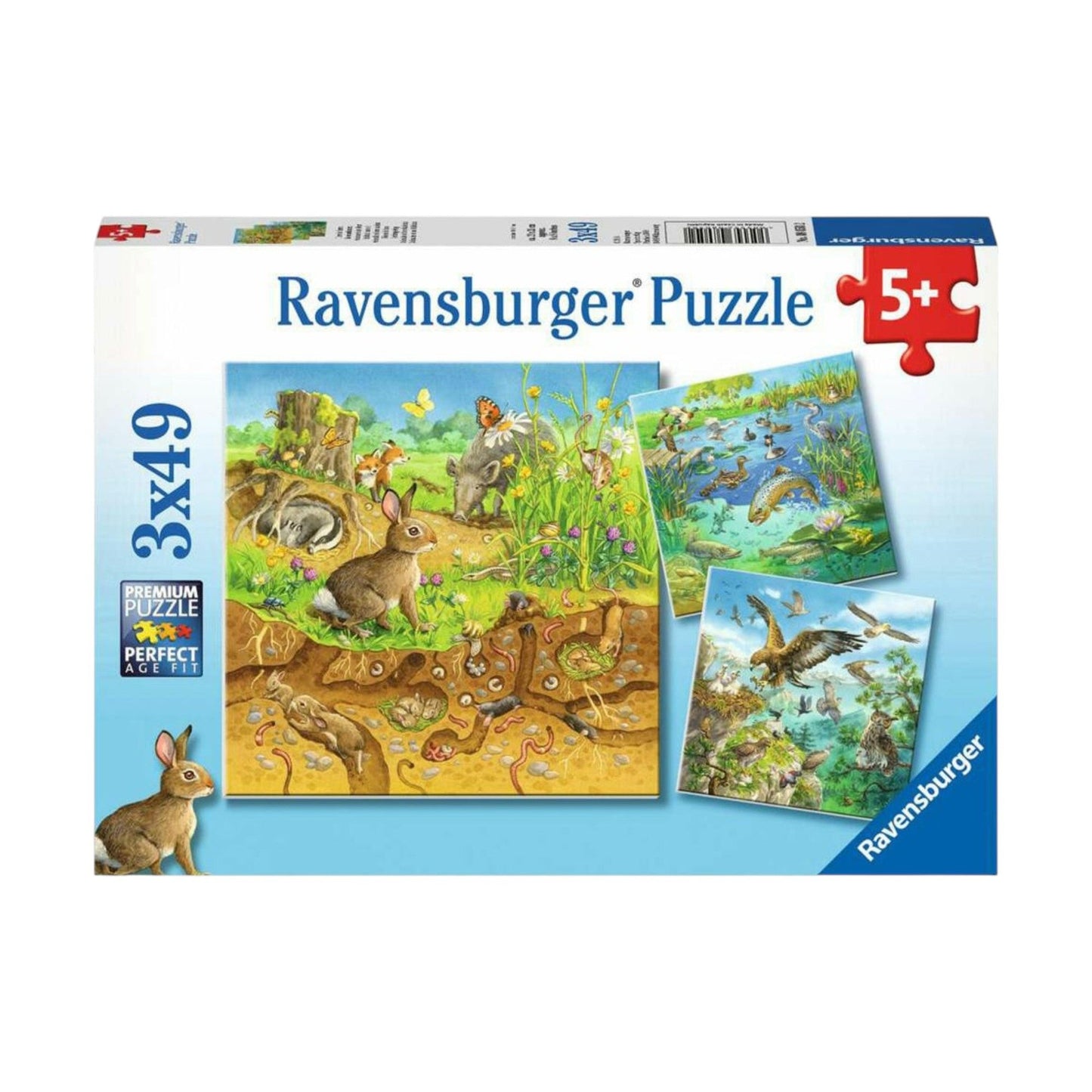 Jigsaw Puzzle