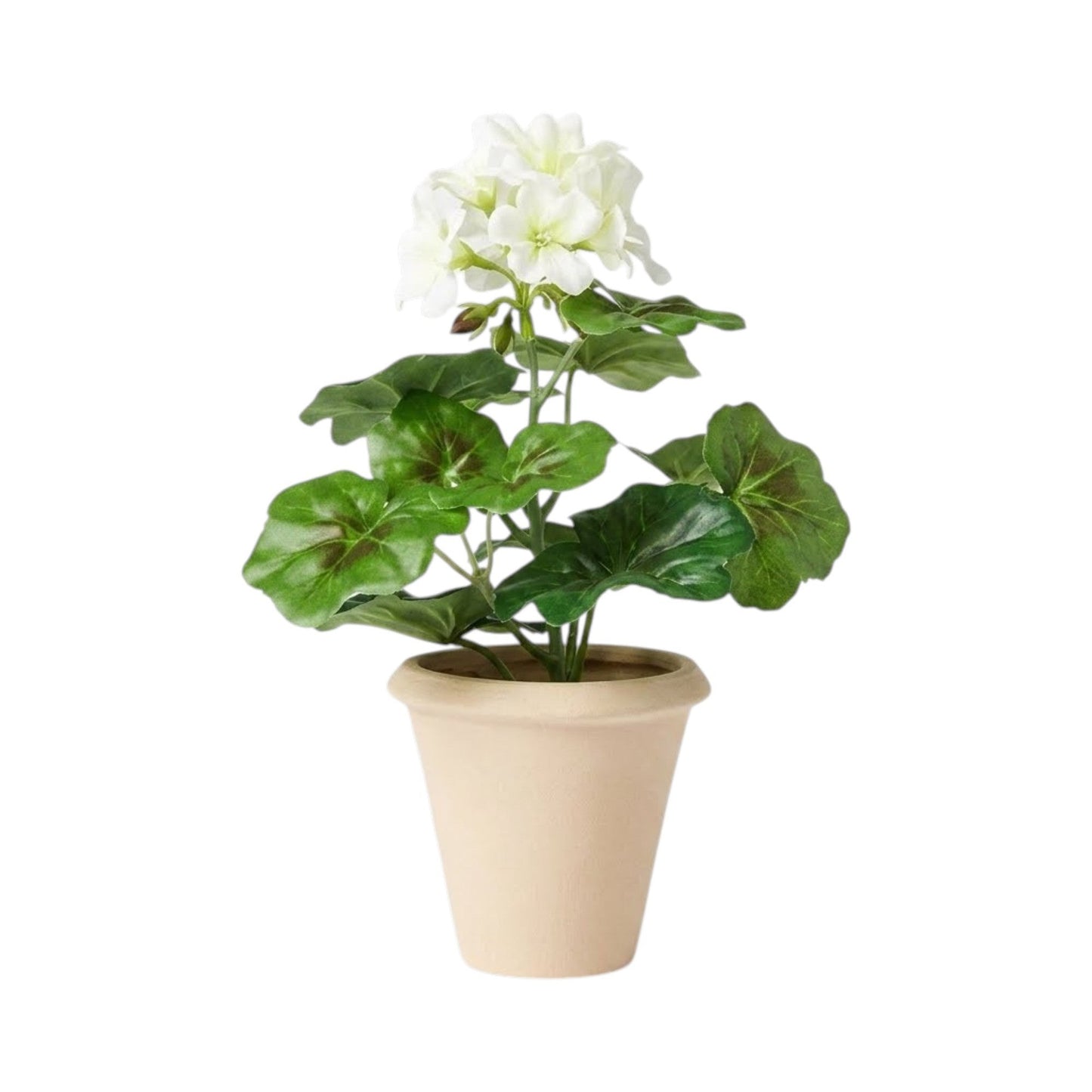Potted Arrangements