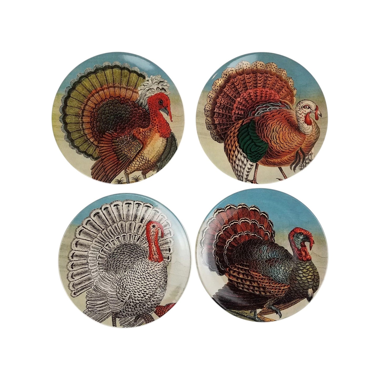 Salad Plate Set