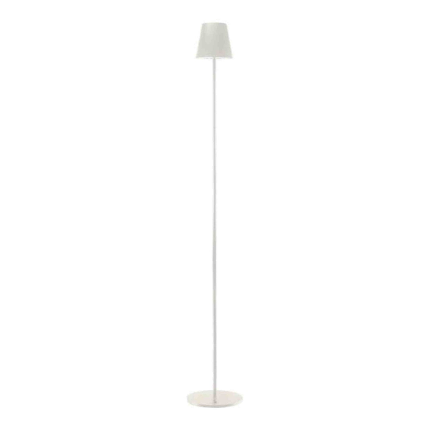 Rechargeable Floor Lamp
