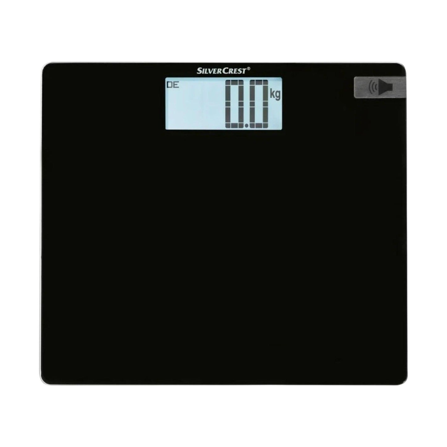Talking Personal Scale