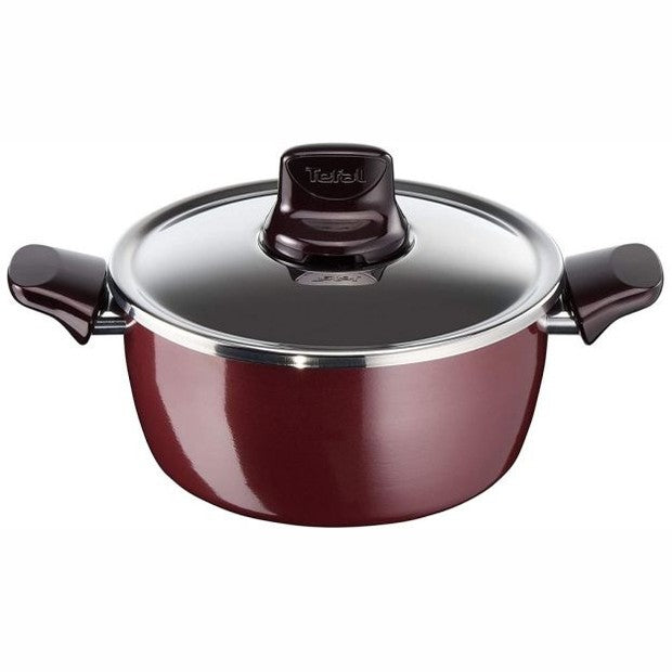 Tefal pleasure stewpot with lid (18-22-26-30)