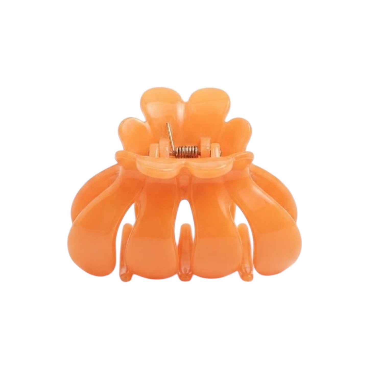 Hair Clips