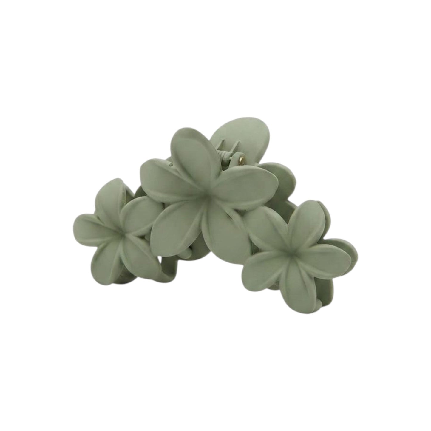 Hair Clips