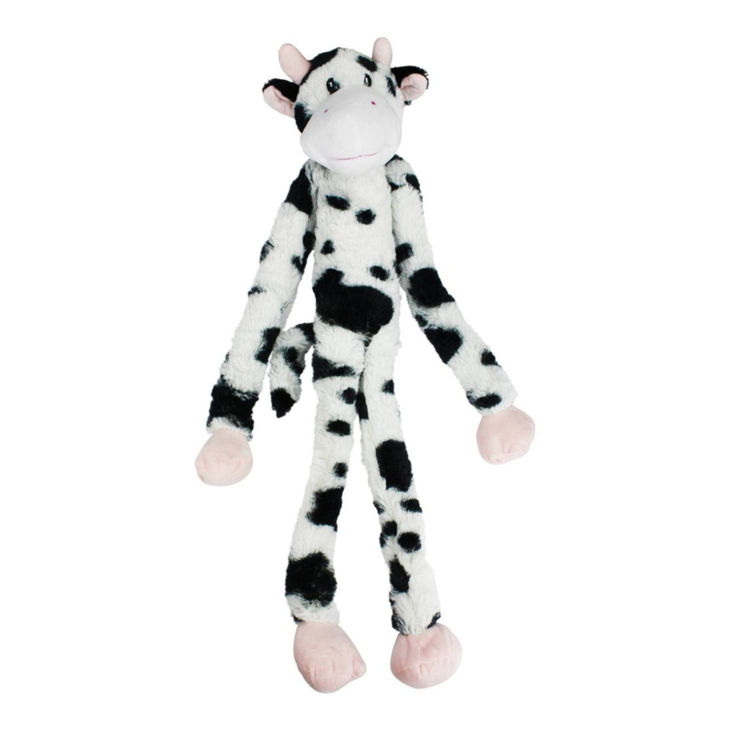 Dog Toy