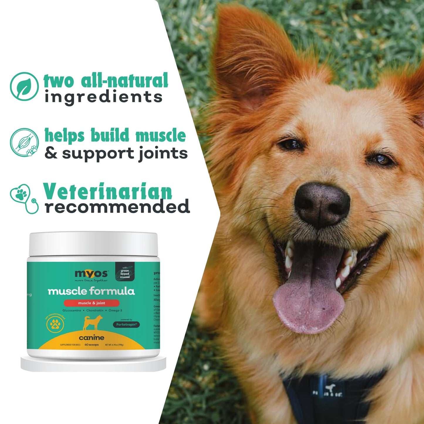 MYOS Muscle & Joint Powered by Fortetropin with Green Lipped Mussel (198 gr) - Medaid International