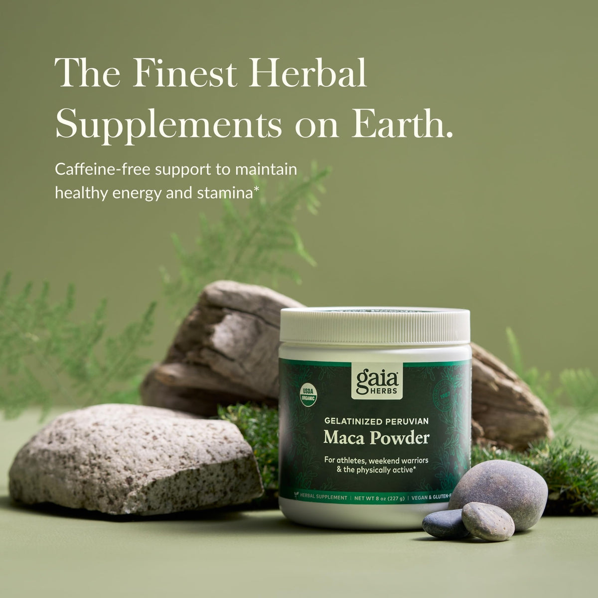 Gaia Herbs Maca Powder - Natural Energy Supplement - Supports and Maintains Healthy Energy and Stamina - Made with USDA Certified Organic Maca Root (Lepidium meyenii) - 8 Oz (69-Day Supply) - Medaid International