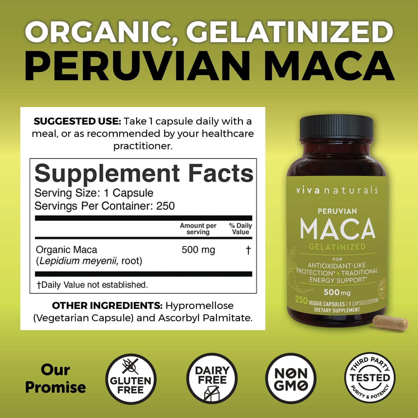 Peruvian Maca Root Supplement for Women & Men, 500mg - Traditionally Used for Energy, Stamina & Endurance - 250 Yellow Maca Root Powder Capsules, Gelatinized for Easier Digestion - Medaid International